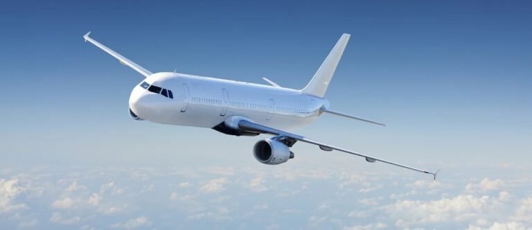 Due to the storm, the plane suddenly started flying in mid-air, panicking passengers