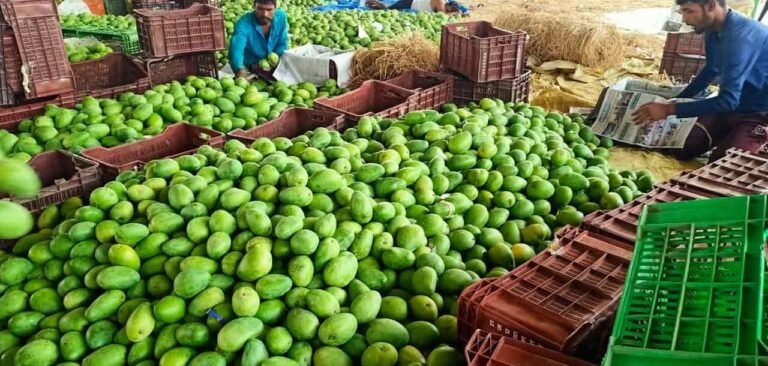 Do you know what will happen if you eat a mango every day?