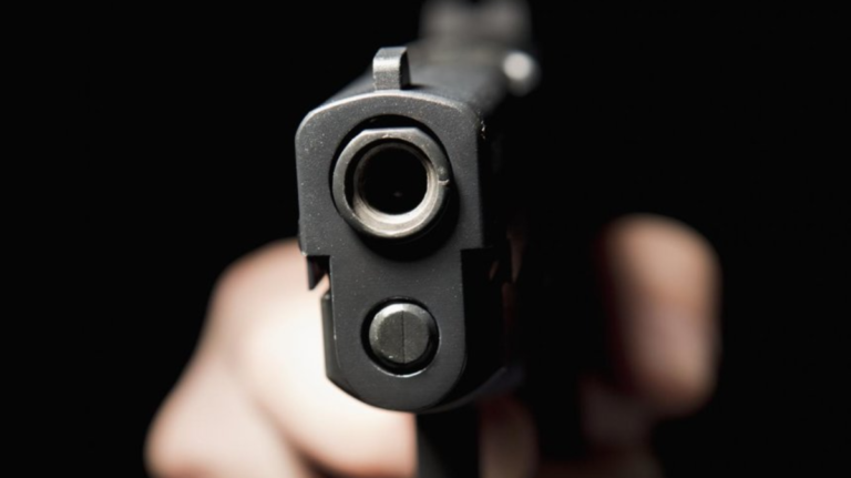 In US Indian-origin man shot and killed by teenage boy