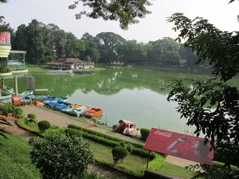 Guwahati citizens expresses concern over cutting down of trees, Assam