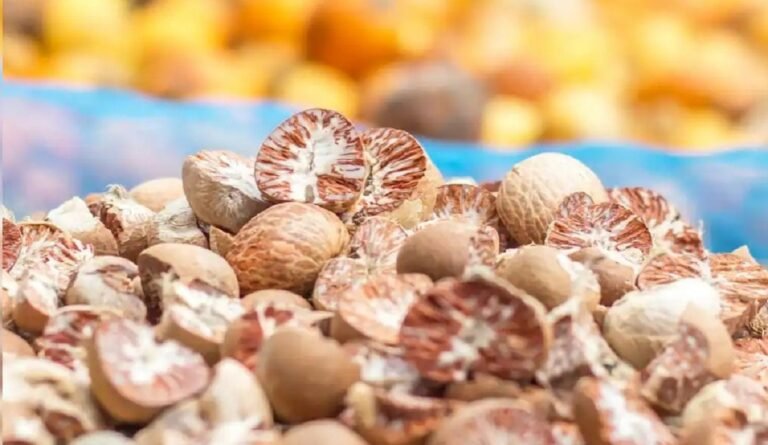Mizoram will provide two processing facilities to assist areca nut growers