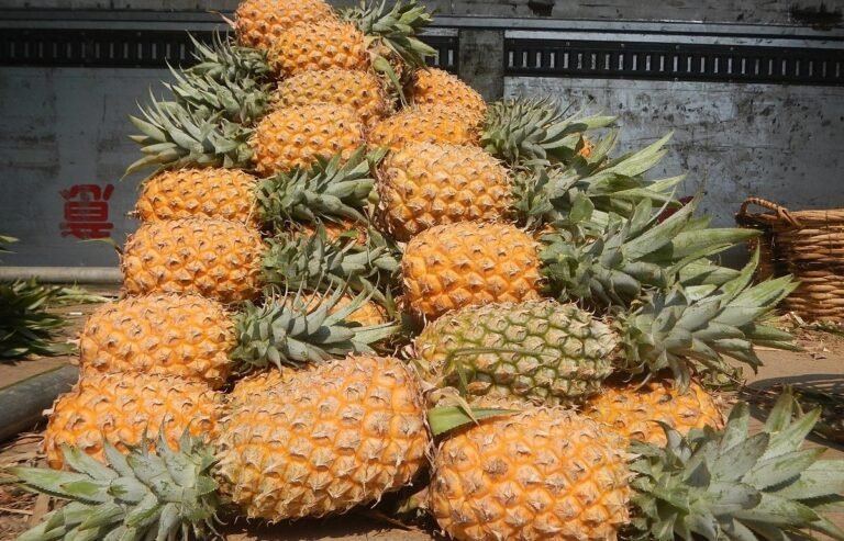 DoNER’s Rs 132.62 crore project aims to promote Tripura’s queen pineapple globally