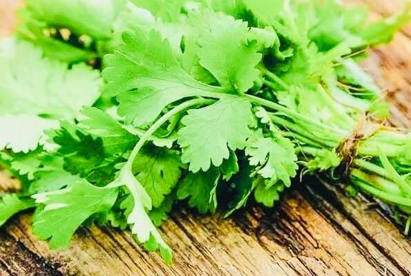 Coriander futures rose: Prices inflation on demand