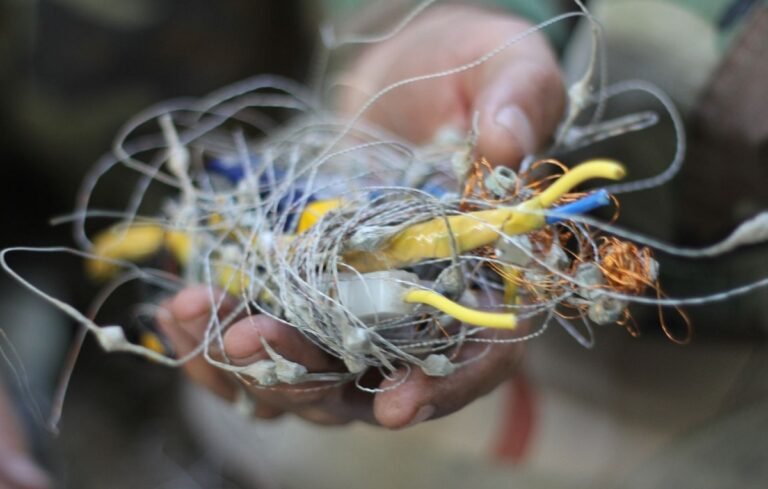 Security forces safely defuse three IEDs along Indo-Myanmar border in Manipur