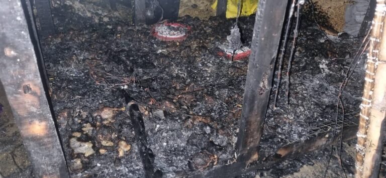 Fire Destroys Property Worth Lakhs in Manipur