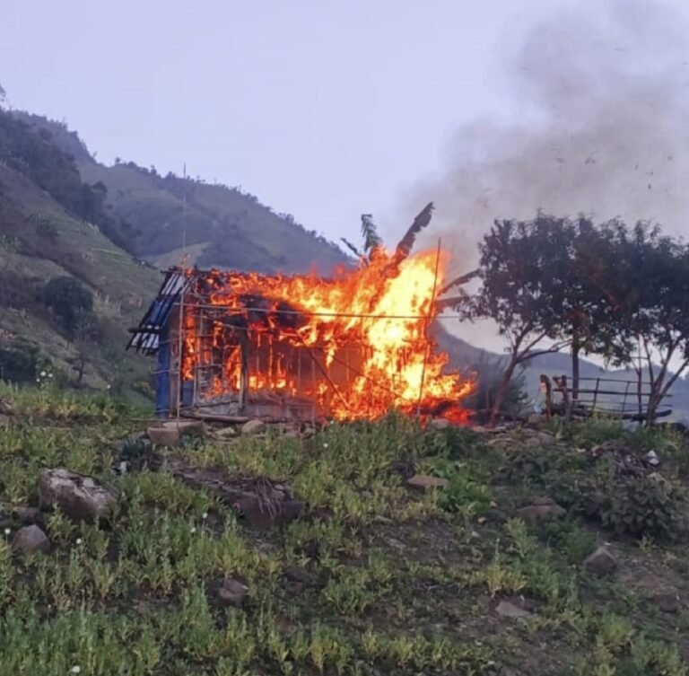 53 Acres of Poppy Cultivation Destroyed in Manipur’s Kangpokpi