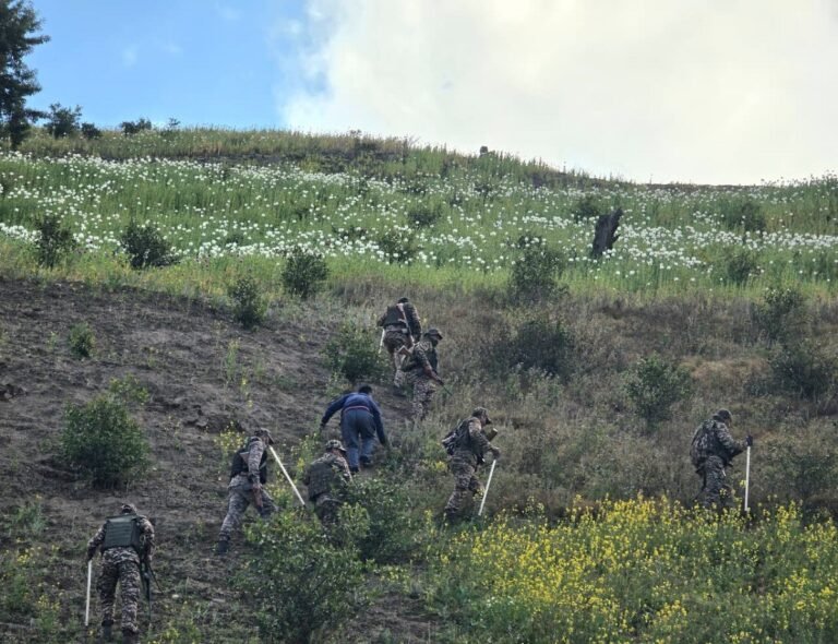Poppy plantation destroyed, drug smugglers nabbed