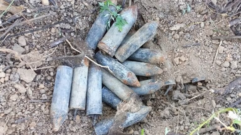Manipur Security Forces Nab KYKL Operative, Defuse 27 Improvised Bombs