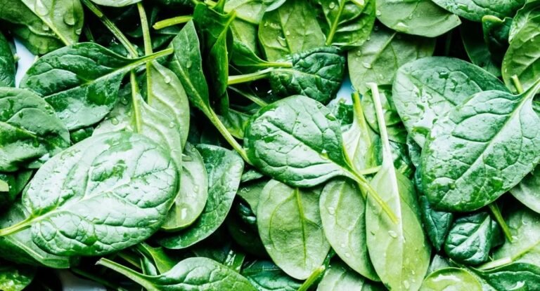 From bones to brain: Amazing benefits of eating spinach