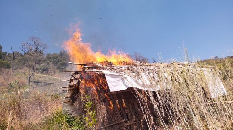 Poppy Plantation Destroyed, Brown Sugar Seized in Anti-Narcotics Drive