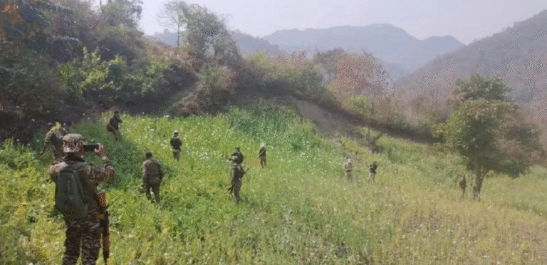 8 Acres of Illicit Poppy Cultivation Destroyed in Senapati District