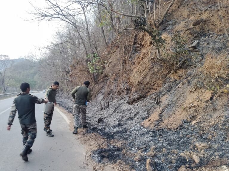 Timely Action by Troops Brings Jungle Fire Near India–Myanmar Friendship Bridge Under Control