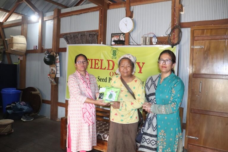 Field Day on Biofortified Lentil Held in Chandel